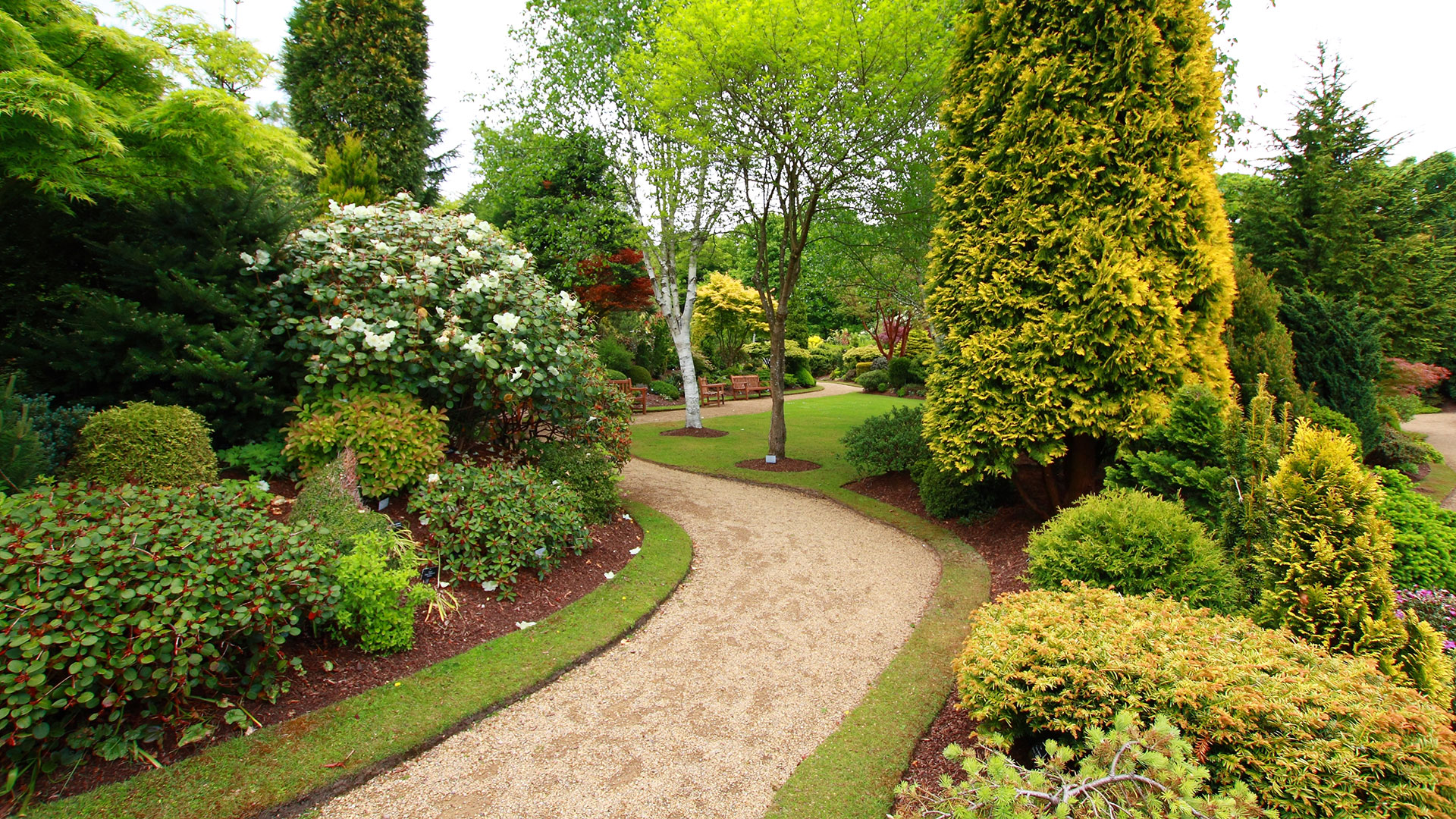 Bellingham Landscaping