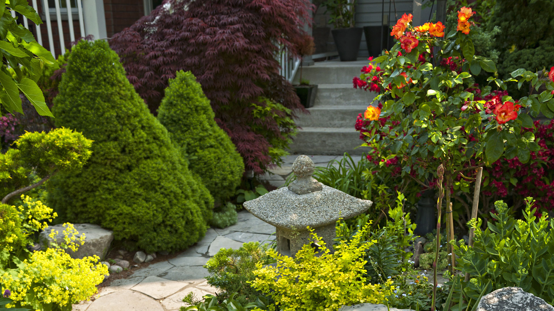 Bellingham Fertilization